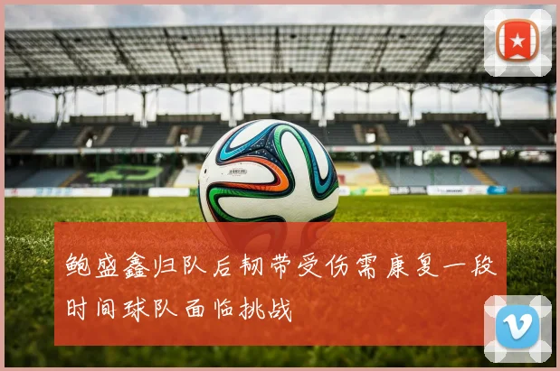 鲍盛鑫归队后韧带受伤需康复一段时间球队面临挑战