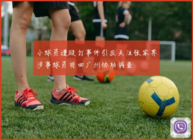 小球员遭殴打事件引发关注张家界涉事球员将回广州协助调查
